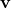 \mathbf v