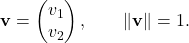 \displaystyle         \mathbf v         =         \begin{pmatrix}         v_1\\         v_2         \end{pmatrix},         \qquad         \|\mathbf v\|=1.         